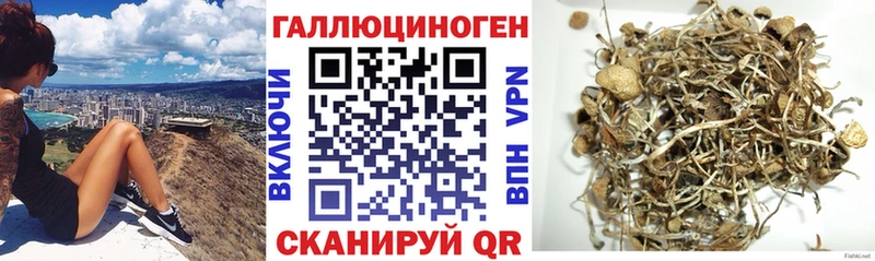 Псилоцибиновые грибы MAGIC MUSHROOMS Новоалтайск