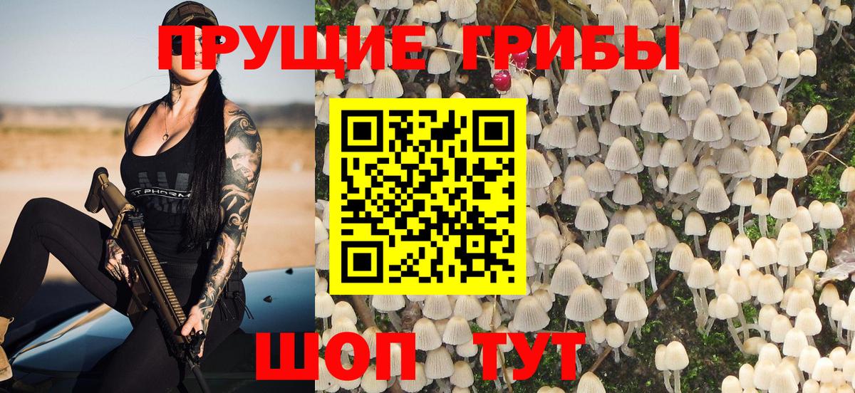 Галлюциногенные грибы прущие грибы  Новоалтайск 