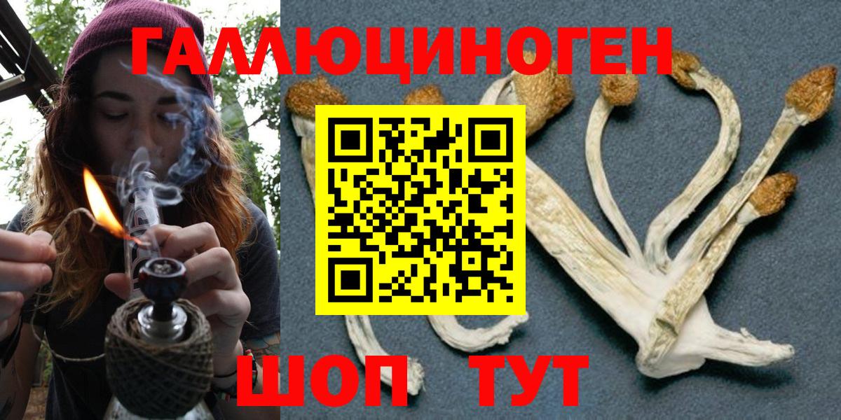 Галлюциногенные грибы мухоморы  Псилоцибиновые грибы GOLDEN TEACHER  Вход с VPN  Новоалтайск 