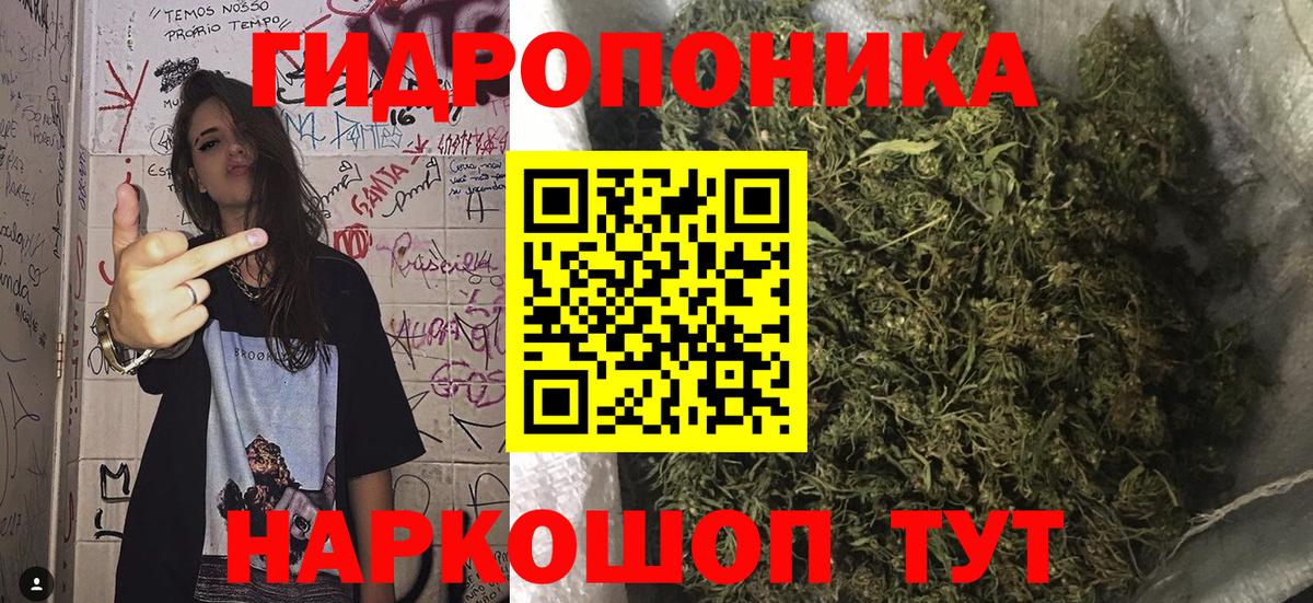 Каннабис ГИДРОПОН  Вход с VPN  Новоалтайск  Бошки Шишки White Widow 